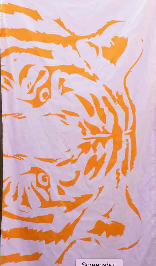 34" X70" Eye Of The Tiger Quick Dry Beach Towel melange by KP