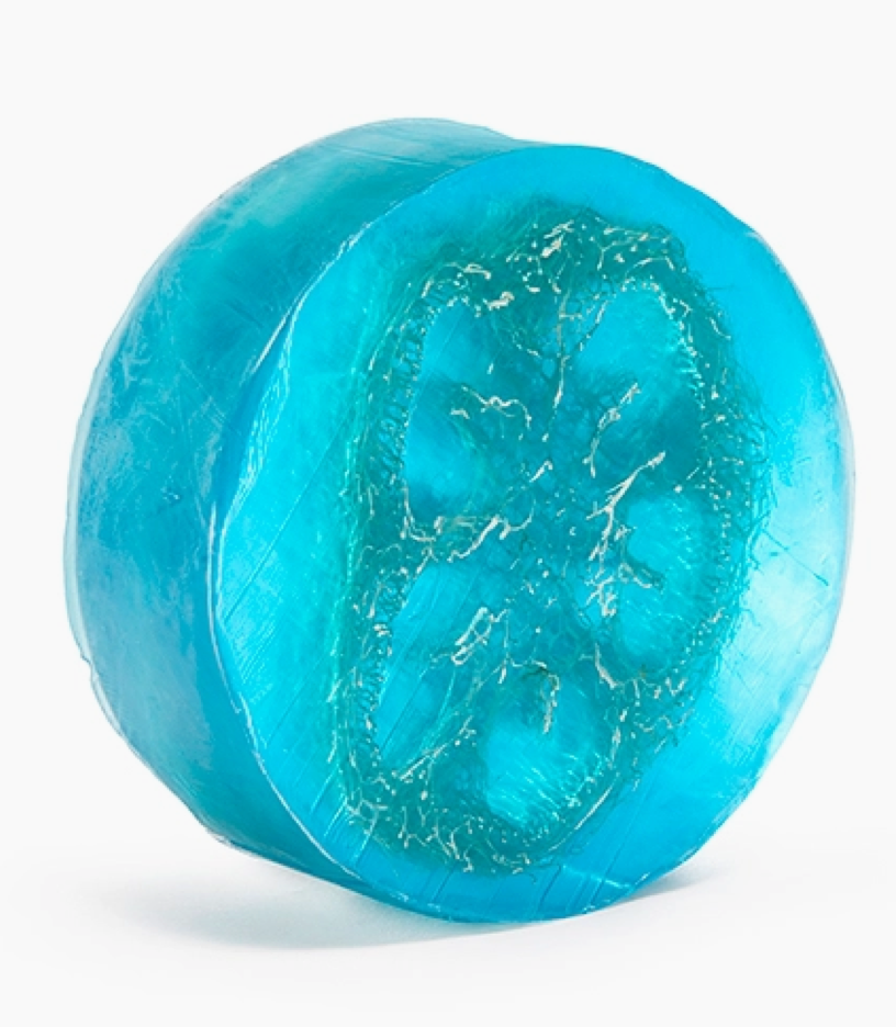 Beachside Loofa Soap