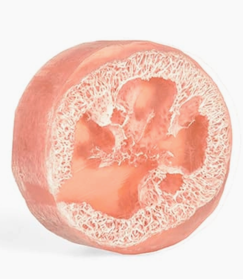 Wild Rose Loofa Soap